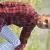 Shahabuddin - Biology Tutor - Gorakhpur