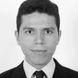 HECTOR MANUEL - Profesor de español para extranjeros - Mazatlán
