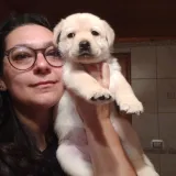 Maria - Insegnante di aiuto compiti - Cava de' Tirreni