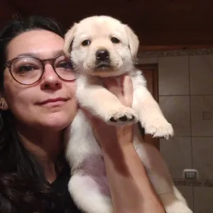 Maria - Insegnante di aiuto compiti - Cava de' Tirreni