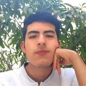 Alejandro - profesor de matemáticas - Lima