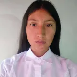 Guadarrama Flores Lucero - Profesor de programación - Metepec