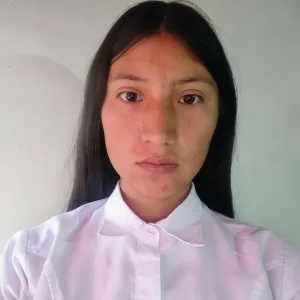 Guadarrama Flores Lucero - Profesor de programación - Metepec