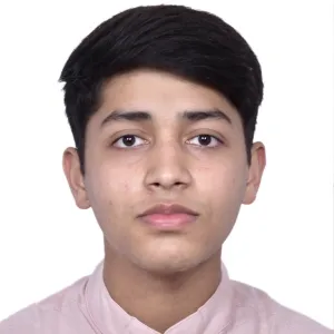 Shivesh - Mathematics Tutor - New Delhi