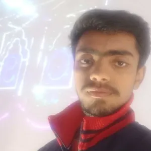 Mohd Hamza - Python tutor - Lucknow