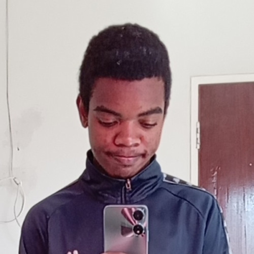 Raphi - Mathematics tutor - 13$/h
