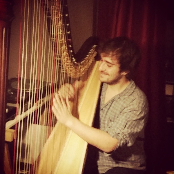 Professeur de Harpe expérimenté propose des cours de harpe classique et/ou celtique dans le Bas Rhin