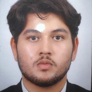 Ali - Maths tutor - Tividale