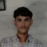 Vibhu - Economics Tutor - Palwal