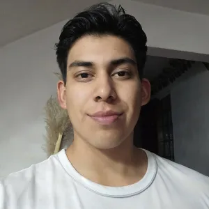 Diego - profesor de matemáticas - Ciudad de México