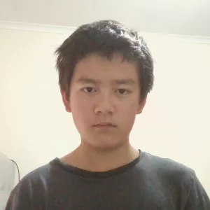 Daniel - Maths tutor - Diamond Creek