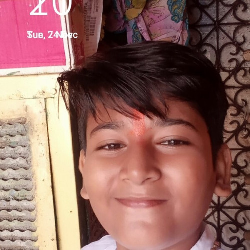 Anmol - Maths tutor - $3/h