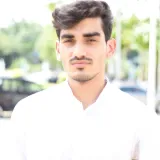 Jawad - Maths tutor - Oak Park