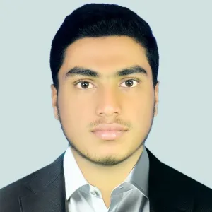 Saiful - Maths tutor - Gazipur