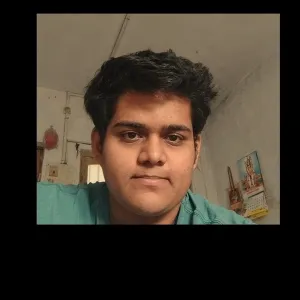 Karan Pareshbhai - Accounting Tutor - Valsad