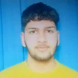 Fake phone - Punjabi tutor - Ghagga