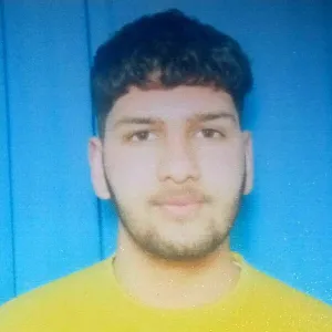 Fake phone - Punjabi tutor - Ghagga