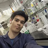 Alibek - Chemistry tutor - Hamilton