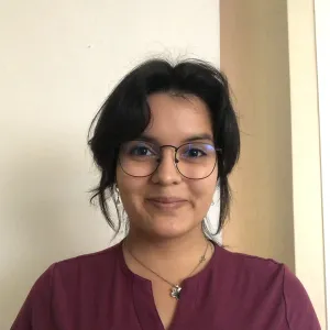  - profesor de inglés - Santiago