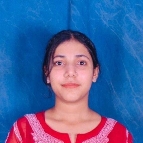 Archit - Maths tutor - 3£/h