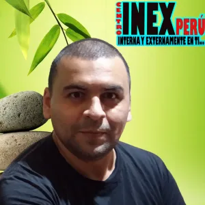 Santos Alfredo - tutor académico - Los Olivos