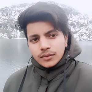 Ankit - Hindi tutor - Indiana