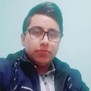 Angel fernando - Profe de inglés - Lima