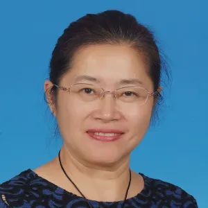 WEN - Chinese teacher - Johannesburg