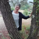 Teresa - Professor de português - compreensão escrita - São Pedro