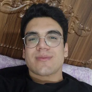 Amir - Maths tutor - Los Angeles