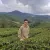 Tariq - Reading Tutor - Kuala Lumpur