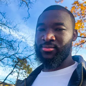 Olaoluwa - Maths tutor - Newark