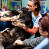 Pauline - Prof d'aide à la rédaction de cv - lettre de motivation - Reims