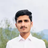 Syed - Maths tutor - Berkeley