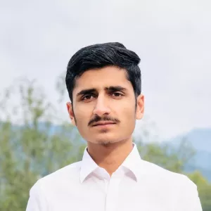 Syed - Maths tutor - Berkeley