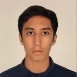 Ibraheem - Math tutor - Dubai
