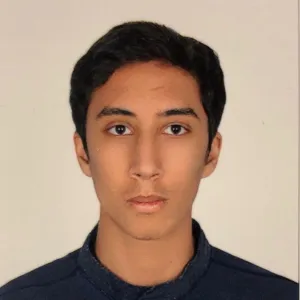 Ibraheem - Math tutor - Dubai