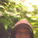 Gilbert - Natural Sciences teacher - Winnipeg