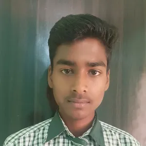 Rohit - Mathematics Tutor - Ludhiana