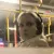Nadia - nauczyciela języka polskiego - Warszawa