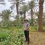 Ali - Prof d'arabe - 