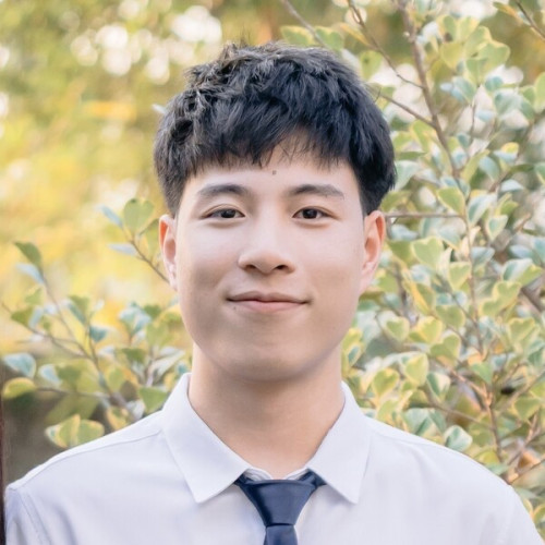 Dat - Mathematics tutor - 16$/h - 3 reviews