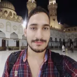 SAYED - Arabic teacher - Dearborn