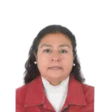 Srivas - profesor de español para extranjeros - Arequipa