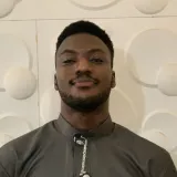 Oluwadamilola - English tutor - Wilmington