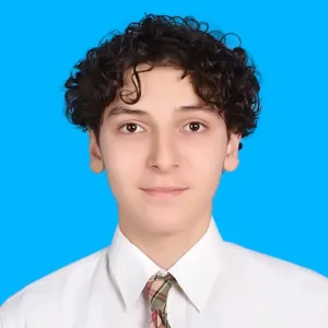 Ahmad - English tutor - Cary