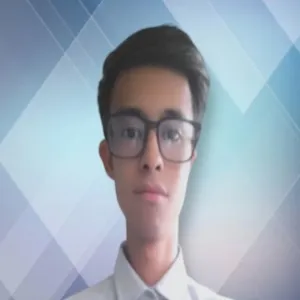 Dominguez Virelas - profesor de programación - Ciudad de México