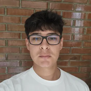 Felix - profesor de matemáticas - Copiapó
