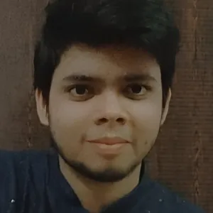 Harsh - Accounting tutor - New Delhi