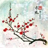 Xiaowei - profesor de chino - Valencia
